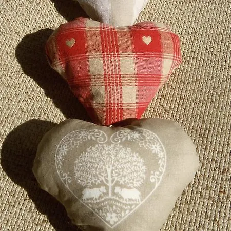 Cali Elina Riquewihr