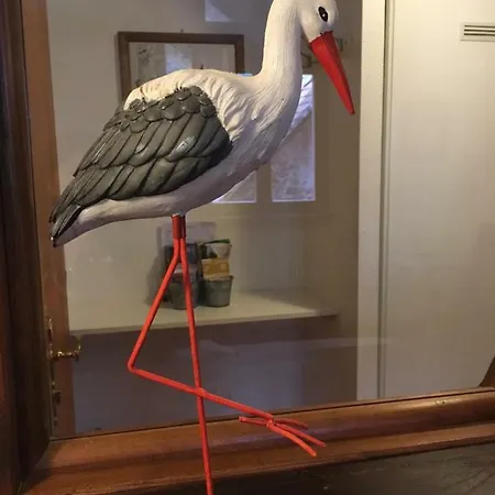 Daire Cali Elina Riquewihr